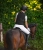 Kask jeździecki Swing H24 Shine w kolorze czarnym zaprezentowany przez modelkę podczas jazdy konnej