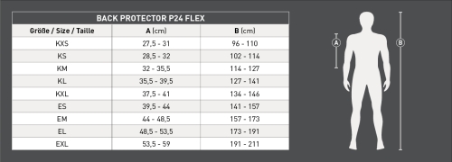 P24_Flex.jpg