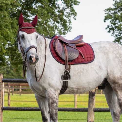 Czaprak dla konia QHP Florence w kolorze burgundy