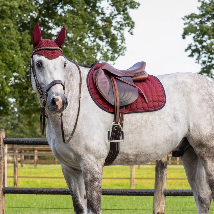 Czaprak dla konia QHP Florence w kolorze burgundy