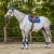 Czaprak dla konia QHP Florence w kolorze cobalt blue