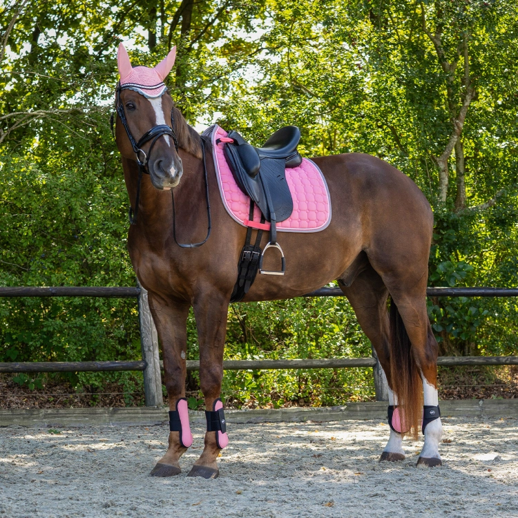 Czaprak dla konia QHP Florence w kolorze flamingo pink