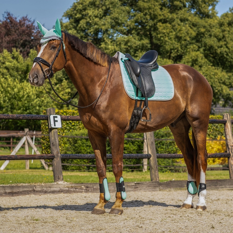 Czaprak dla konia QHP Florence w kolorze ice green