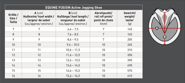 Buty dla konia Waldhausen Equine Fusion Active - tabela rozmiarów