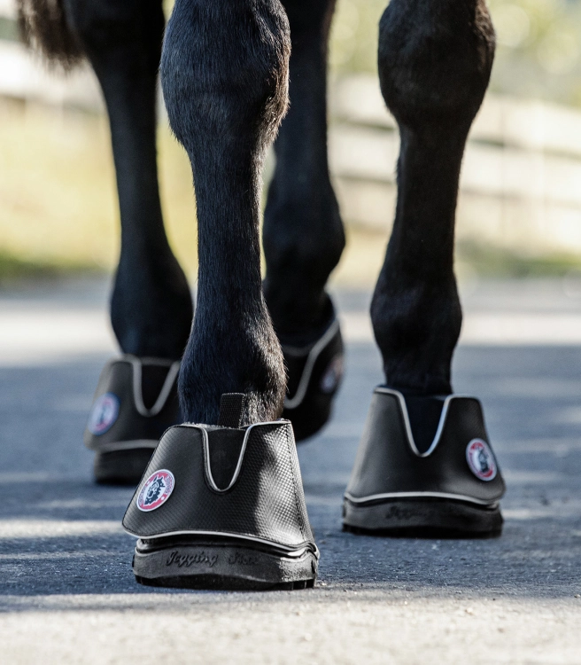Buty dla koni Waldhausen Equine Fusion Active na koniu