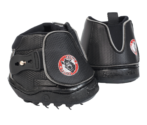 590101-07_20 (1).png