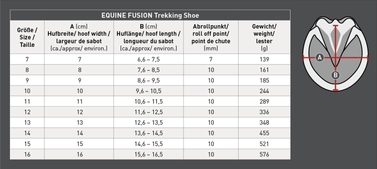 Equine_Trekking.jpg