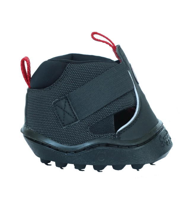 590501-07_08.png