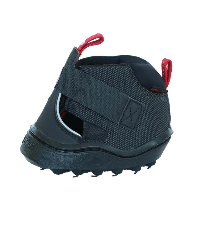 590501-07_06.png