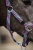 15687_3950_moodpictures_2_77417.jpg