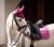 15685_1072_moodpictures_2.jpg