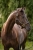 15702_9100_moodpictures_1_76254.jpg