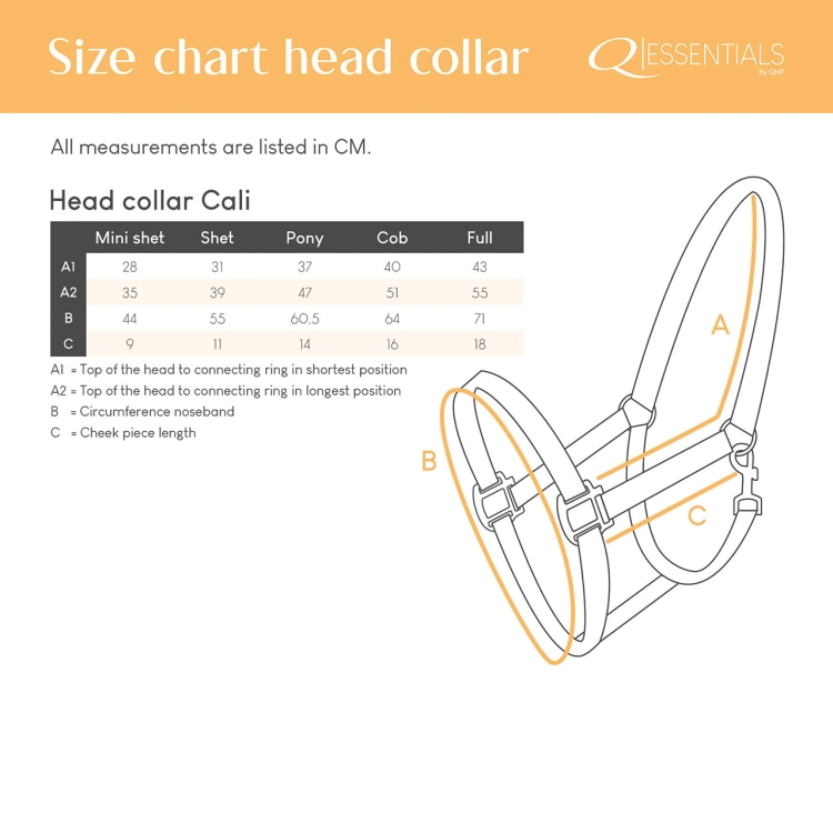 Kantar z futerkiem QHP Cali w kolorze turquoise