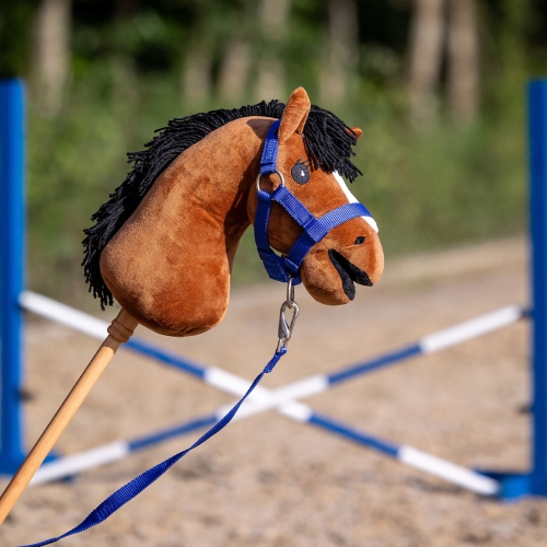 Kantar z uwiązem Hobby Horse QHP w kolorze niebieskim