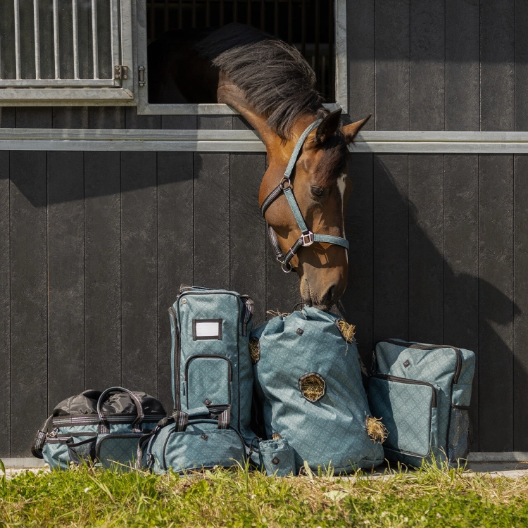 5644pgr-4_2.jpg