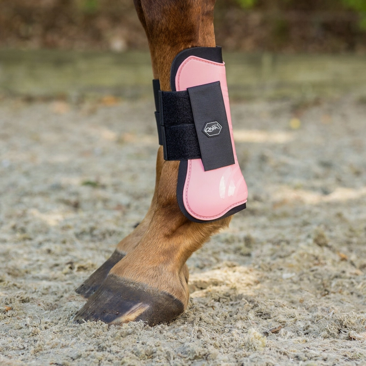 Ochraniacze dla konia na przody QHP Color w kolorze flamingo pink zaprezetowane przez końskiego modela