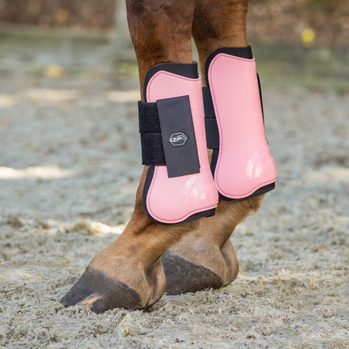 Ochraniacze dla konia na przody QHP Color w kolorze flamingo pink zaprezetowane przez końskiego modela