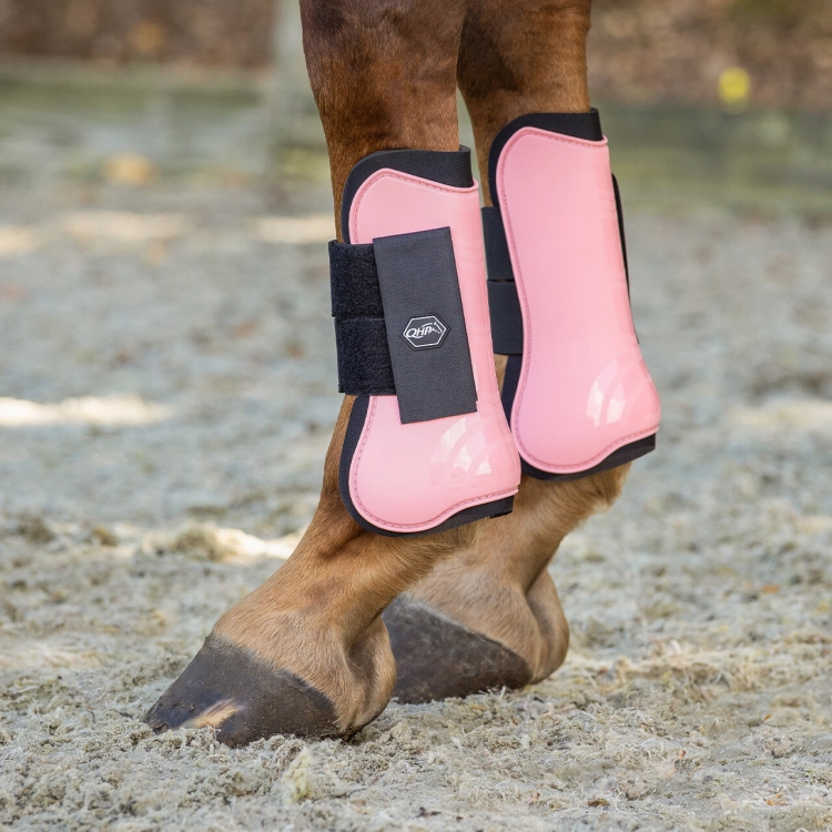 Ochraniacze dla konia na przody QHP Color w kolorze flamingo pink zaprezetowane przez końskiego modela