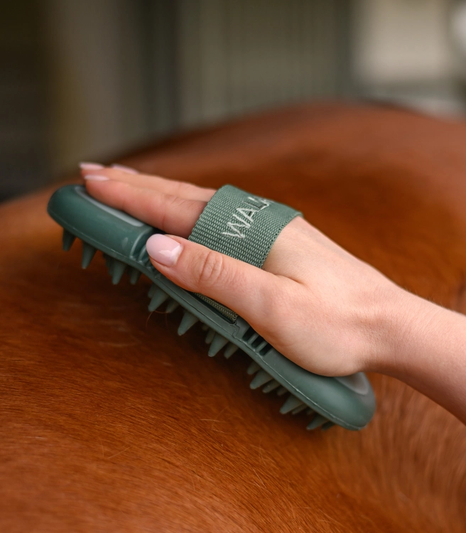 Zgrzebło do masażu dla konia Waldhausen Flex Massage w kolorze zielonym