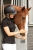 Kask jeździecki z regulacją Harry's Horse Mont Blanc w kolorze czarnym