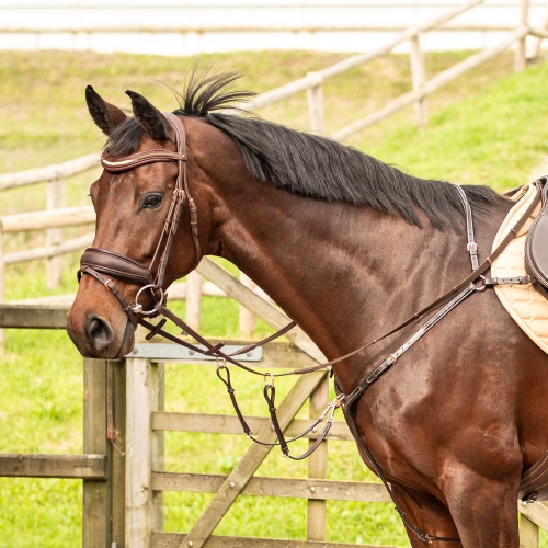 Napierśnik z wytokiem dla konia Harry's Horse Rosegold w kolorze brązowym na koniu