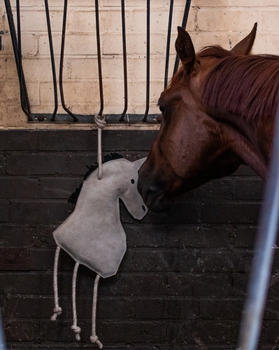Zabawka dla konia QHP Horse powieszona w boksie