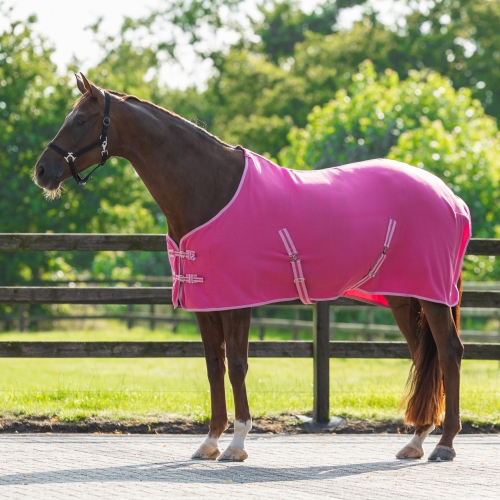 Derka polarowa dla konia QHP w kolorze fuchsia na koniu