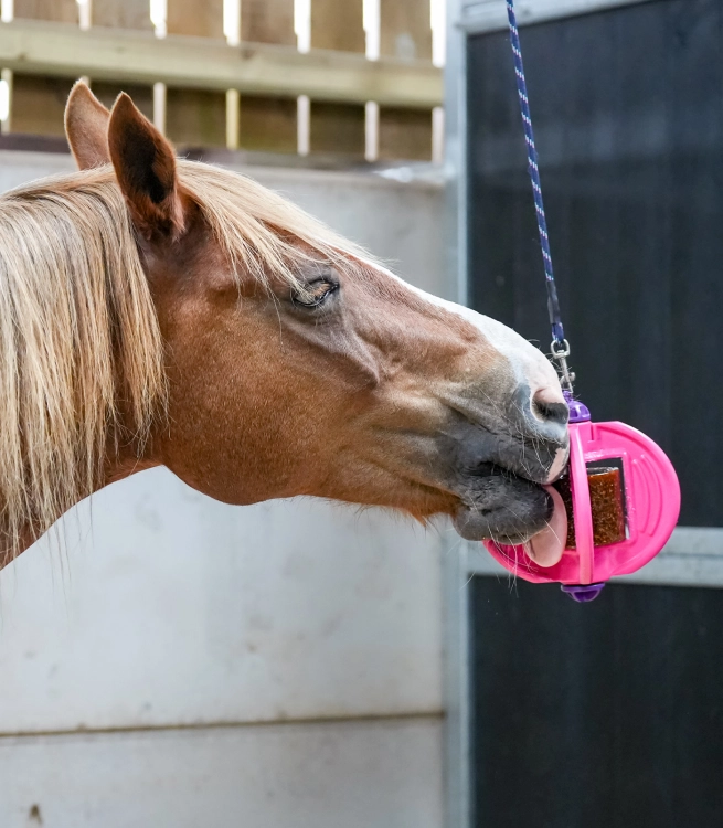 BIZZY Ball uchwyt do lizawki PINK