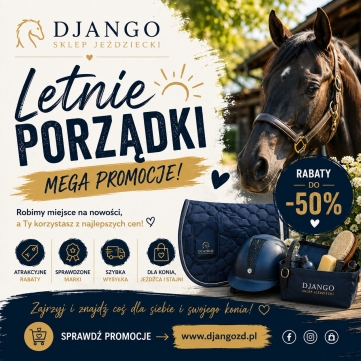 Mega Promocje 